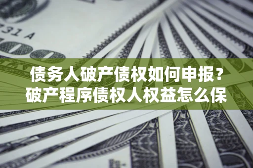 北京债务人破产债权如何申报？破产程序债权人权益怎么保障？