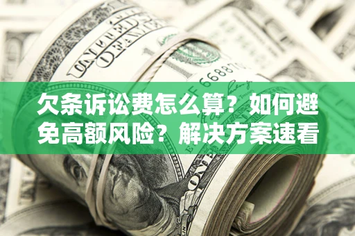 北京欠条诉讼费怎么算？如何避免高额风险？解决方案速看！