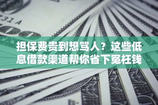 北京担保费贵到想骂人？这些低息借款渠道帮你省下冤枉钱