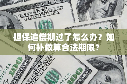 北京担保追偿期过了怎么办？如何补救算合法期限？
