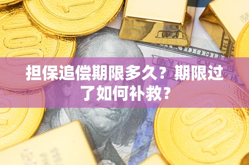 北京担保追偿期限多久？期限过了如何补救？