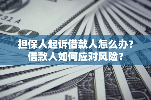 北京担保人起诉借款人怎么办？借款人如何应对风险？